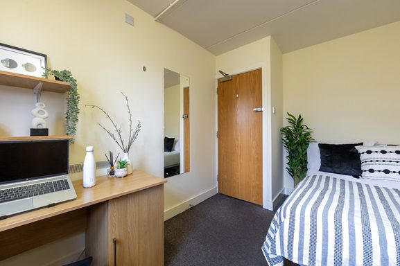 Bronze Non Ensuite | 3 or 4 Bed Flat Image